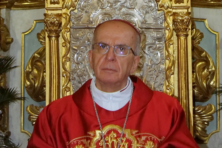 Homilia da Missa do Domingo de Ramos