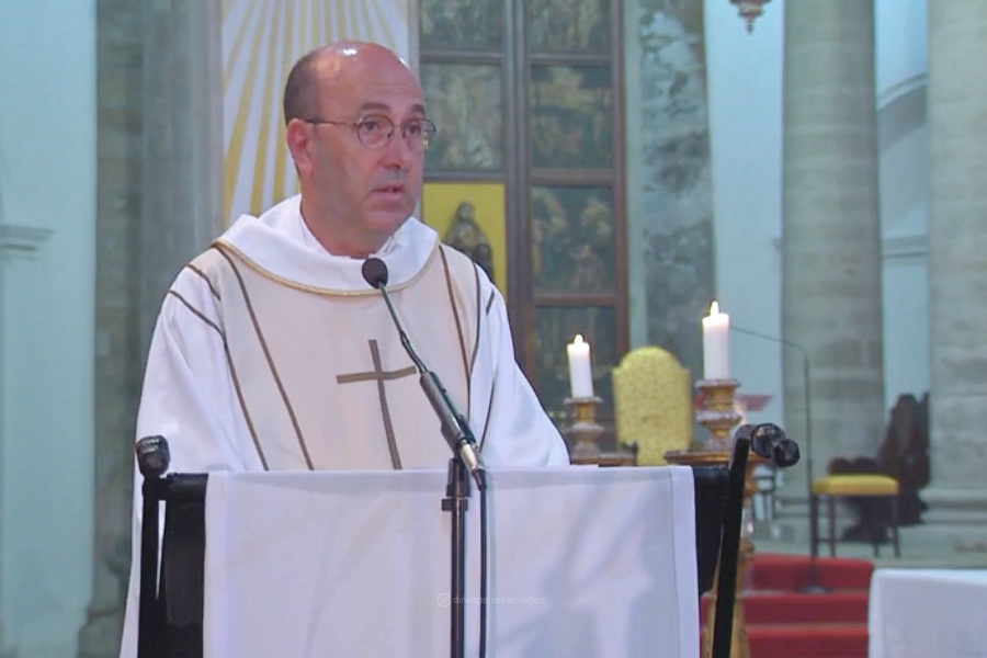 Homilia no IV Domingo da Páscoa, Domingo do Bom Pastor e das Vocações